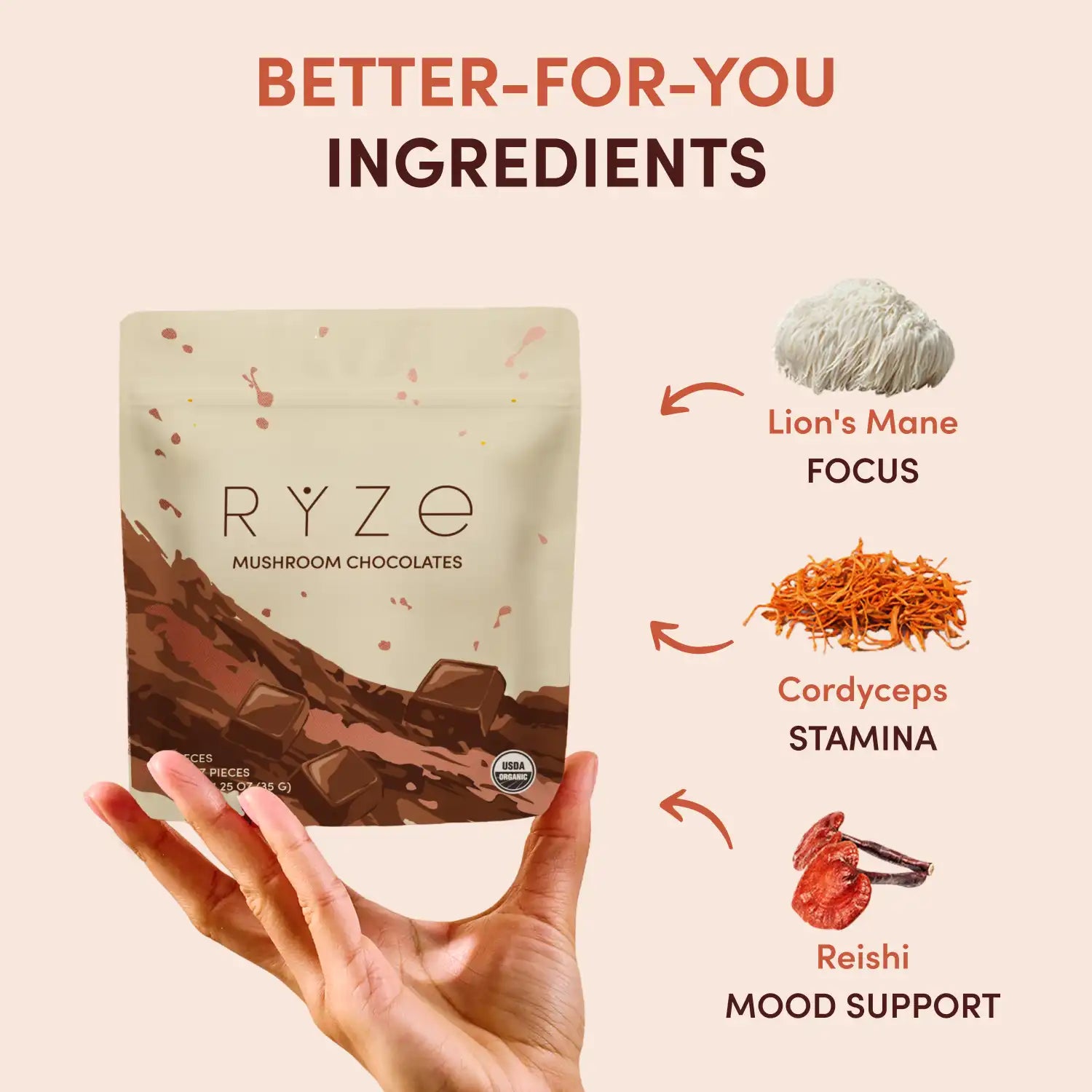 Mushroom Chocolates (30 pieces)