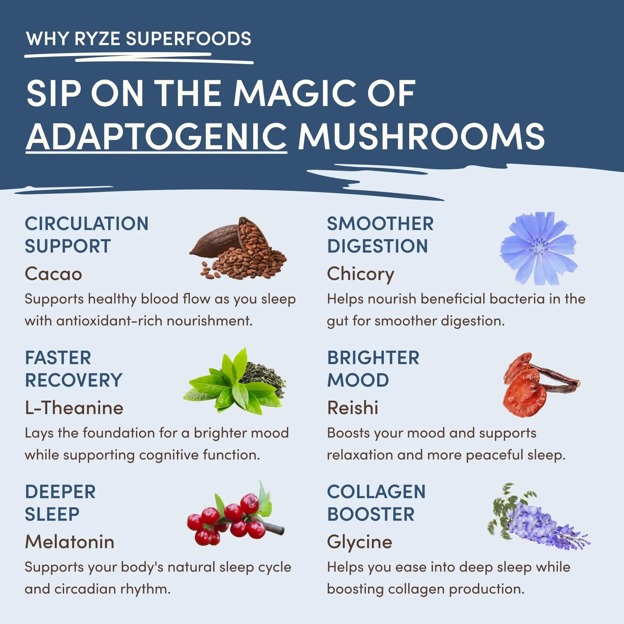 Day + Night Bundle (Coffee + Cocoa)