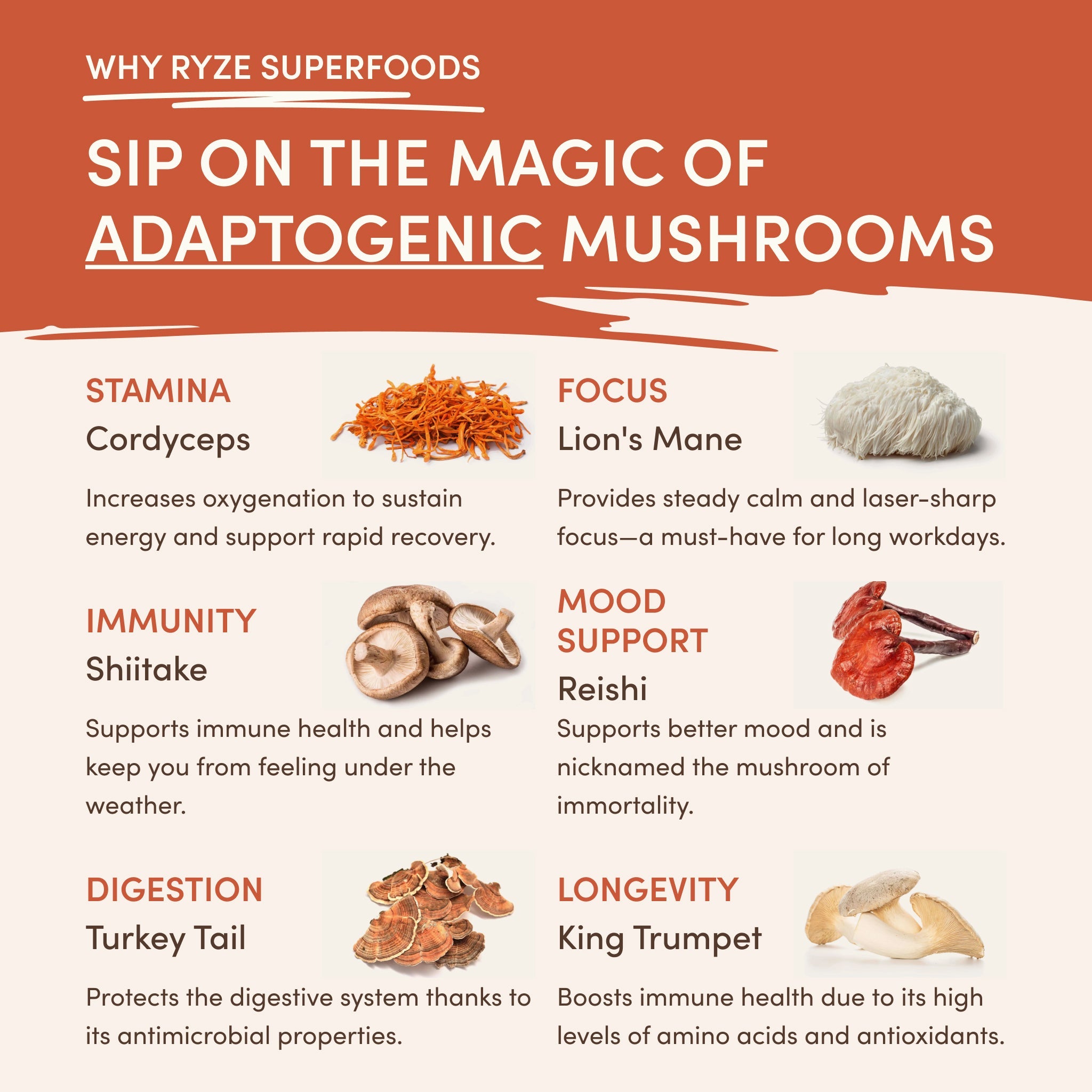 Superfood Creamer Starter Bag